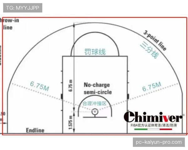 《篮球规则详解》新手必读：后场规则是什么？3分钟教你搞懂基本概念